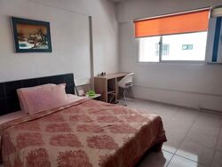 Blk 110 Mcnair Spring (Kallang/Whampoa), HDB Executive #564796051